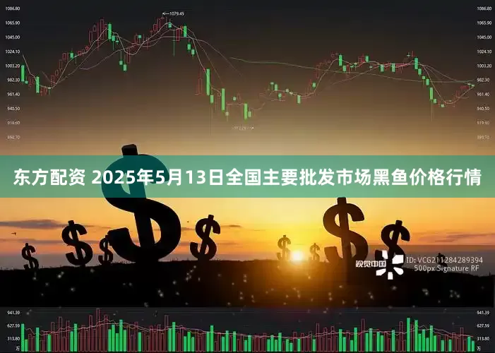 东方配资 2025年5月13日全国主要批发市场黑鱼价格行情