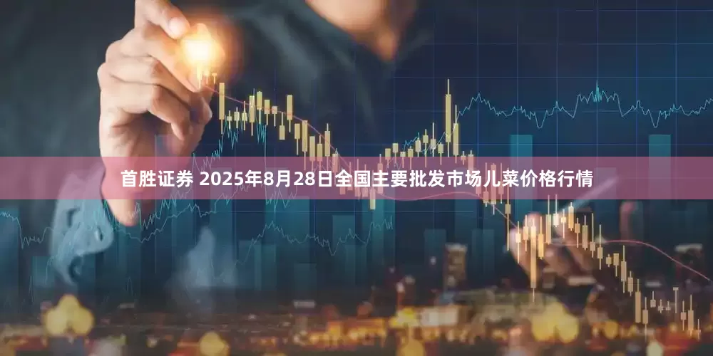 首胜证券 2025年8月28日全国主要批发市场儿菜价格行情