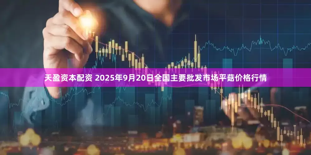 天盈资本配资 2025年9月20日全国主要批发市场平菇价格行情